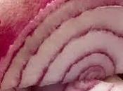 necesitas saber soñar cebollas.