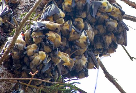 Quelimane; bicicletas, ruinas y boa gente