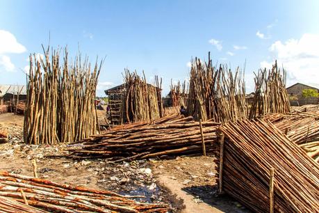 Quelimane; bicicletas, ruinas y boa gente
