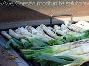 calçots cebollas mártires…