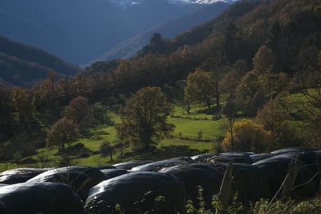 Mogrovejo, Cantabria