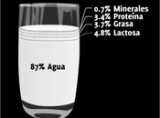 ¿que tipo leche mejor para