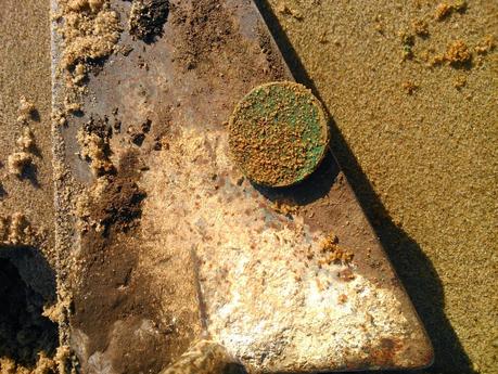 playa de zeluan con el nuevo detector