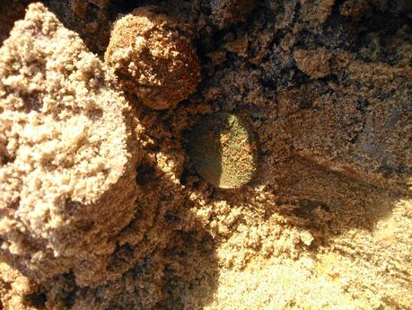 playa de zeluan con el nuevo detector