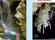 Jornadas Divulgación