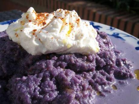 crema-col-lombarda-con-ricotta-1