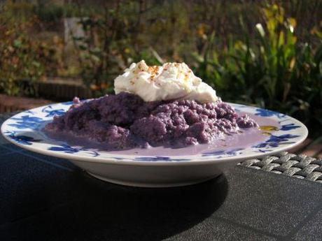 crema-col-lombarda-con-ricotta-1