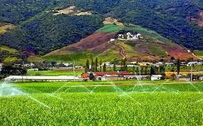 Proyecto inmobiliario Century Grand Constanza