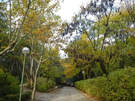 Parque Quintana de los Molinos de Madrid