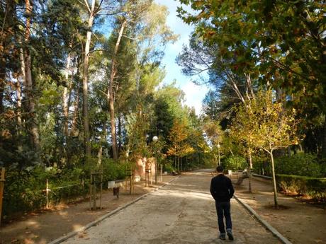 Parque Quintana de los Molinos de Madrid