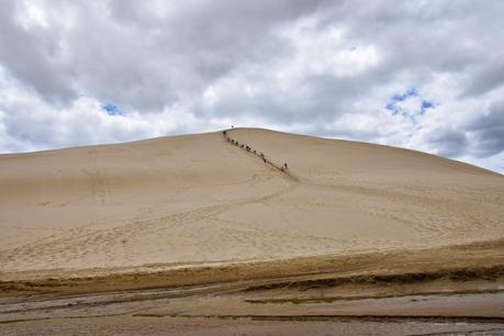 Nueva Zelanda II, Northland