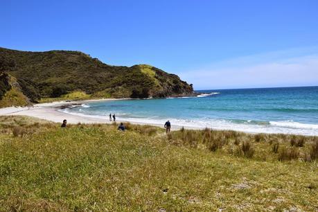 Nueva Zelanda II, Northland