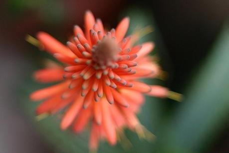 balcón_4_20141223 - Version 2