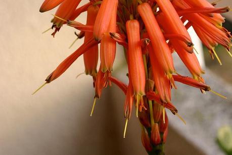 balcón_3_20141222 - Version 2