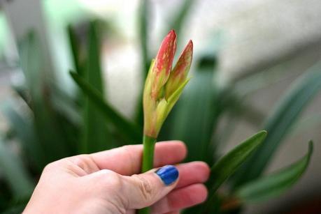 balcón_12_20141223 - Version 2