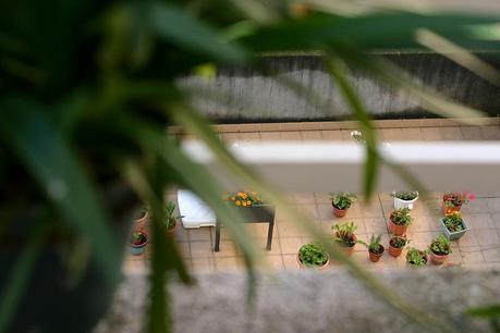 balcón_8_20141222 - Version 2