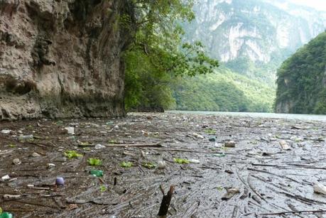 La belleza contaminada