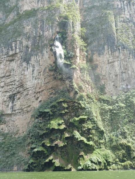 Detalles del Cañón del Sumidero