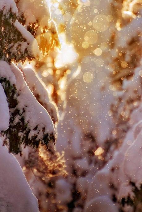 Dando la bienvenida al Solsticio de Invierno