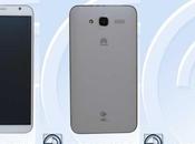 TENAA china anticipa nuevo Huawei Ascend