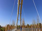 Last Saturday Bioparc Valencia