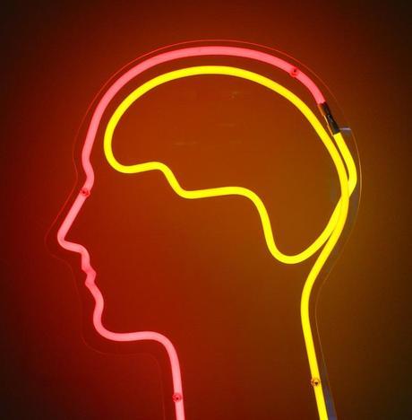 ✓ Controla tu cerebro mientras trabajas y mejora tu concentración Cerebro.jpg