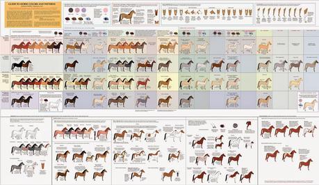 Guía enorme de pintado de caballos en una sola imagen