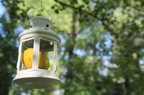 Bodas CdB: La boda Vintage, de Laura y Cesar