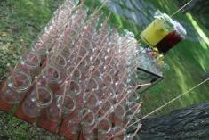 Bodas CdB: La boda Vintage, de Laura y Cesar