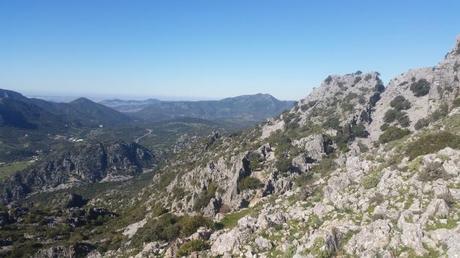 V CxM Nutrias Pantaneras Ruta de las Aljibes, Ubrique cxm nutrias pantaneras 2015 | rendimienofisico10.com