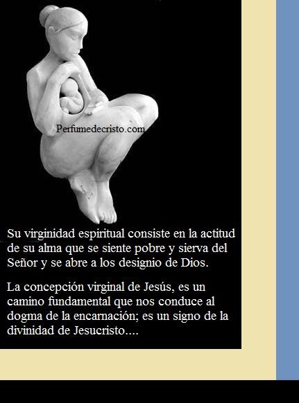 10364148_10204210891811754_2182955729432661718_n