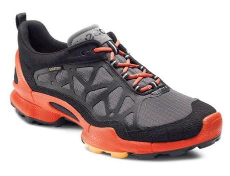 ECCO-BIOM-Trail-GTX