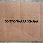 Pronokal: decimocuarta semana