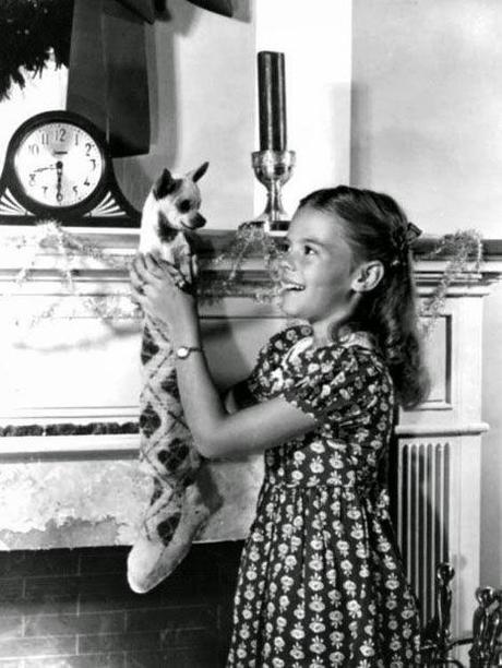 Miércoles Palomitero en Nochebuena