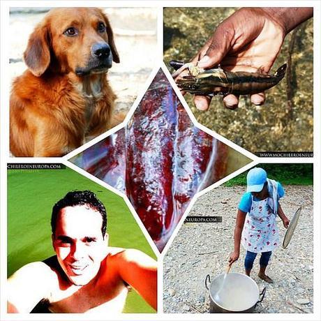 Collage de Birongo Collage de Birongo