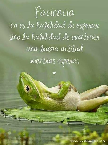 LO MEJOR DEL AÑO (PARTE 1 DE 3)