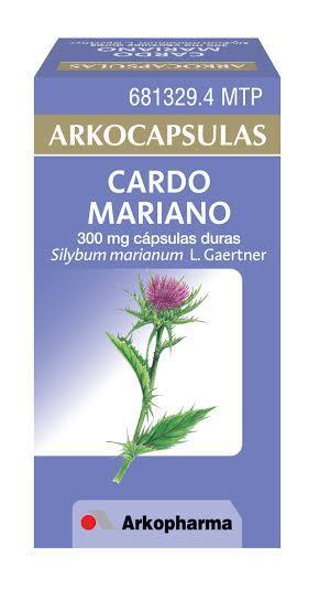 Suplementos alimenticios para no engordar en Navidad cardo_mariano