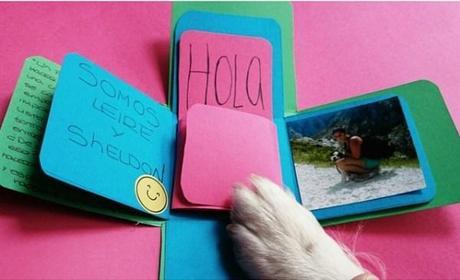 ganador #correoparamipremio