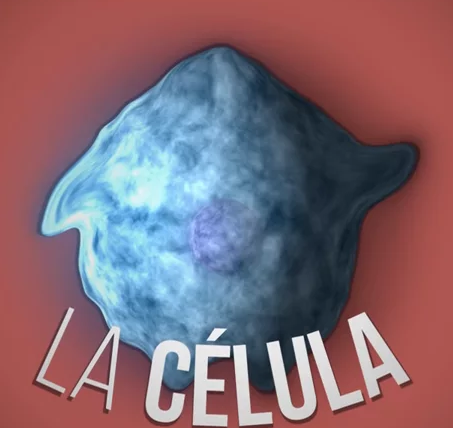 Ciencia Express. Vídeos de forma breve y divertida con las ideas fundamentales de la ciencia.