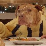 VÍDEO: 13 perros y un gato en la cena de Navidad 13 perros y un gato en la cena de Navidad