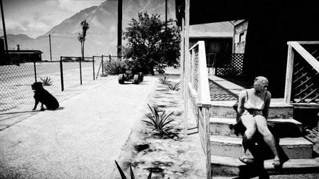 Snapmatic Edition N°2 (II): Solitude