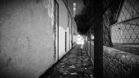 Snapmatic Edition N°2 (II): Solitude