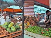 Variadas ofertas mejores precios Feria Agropecuaria Habana