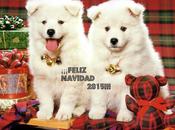 ¡¡¡Feliz Navidad 2015111