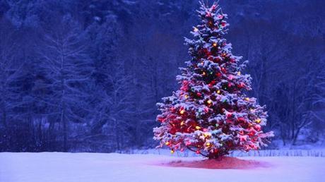 Christmas-Tree-cincodays