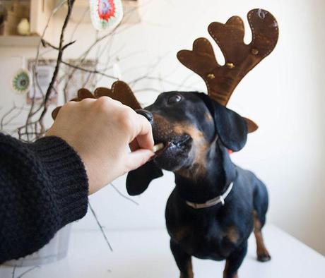 MAKING OF FELICITACIÓN NAVIDEÑA _MG_1423