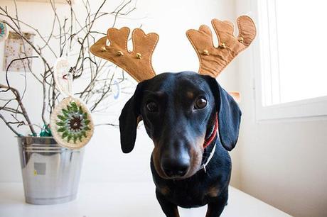 MAKING OF FELICITACIÓN NAVIDEÑA _MG_1400