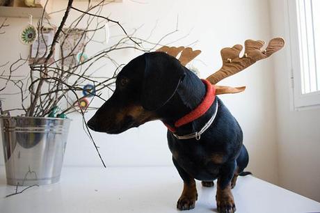 MAKING OF FELICITACIÓN NAVIDEÑA _MG_1411