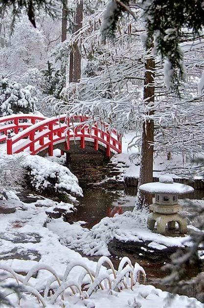 RECOJO, EN ESTOS DÍAS...