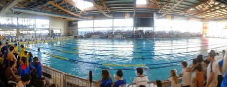Campionat de Catalunya d´ HIvern de Natació Infantil i Junior.